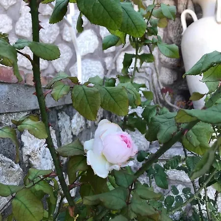 Pietra Salata Villa Capri